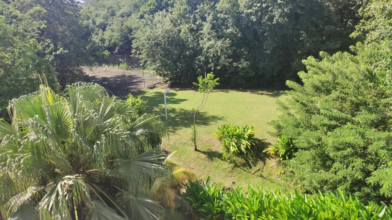 Appartement Le Cocotier des Alizés à Le Diamant Martinique